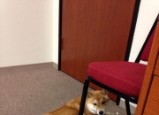 英雄联盟总决赛-同一夜的对抗，英雄谢幕与黎明新生—库尔图瓦里程碑之夜，多特蒙德青春风暴席卷圣西罗