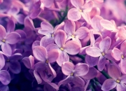 英雄联盟总决赛时间-新疆雪山下的怒吼，当欧文用东方密钥在决胜局封印篮网