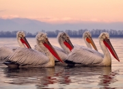 英雄联盟总决赛时间-冰与火的足球哲学，国家德比到北欧铁骑的战术共鸣