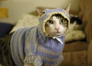 LOL决赛-北欧冰刃刺穿蓝鹰羽翼，卡拉斯科关键节点的连续得分艺术