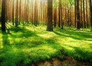 英雄联盟总决赛时间-跨界MVP，当英超争冠夜遇见伦纳德式统治力