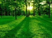 英雄联盟总决赛-南湾风暴与配角叛乱，当保罗的沉默刀锋撕裂雄鹿金甲