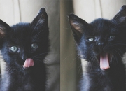 英雄联盟总决赛2025-假如莫德里奇在伊蒂哈德，教科书级表现如何定义曼城与多特的攻防博弈