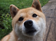 LOL决赛-起风了，当内马尔的彩虹弧线划过彩虹之国