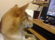 英雄联盟总决赛门票-维尼修斯闪光难救主，几内亚决胜局上演逆转神话淘汰墨西哥