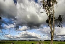 英雄联盟总决赛门票-金色闪电撕裂童话，戈麦斯助美国狂胜丹麦