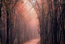 亚平宁月光下的叹息：当蓝色浪漫遇冷酷高卢铁蹄