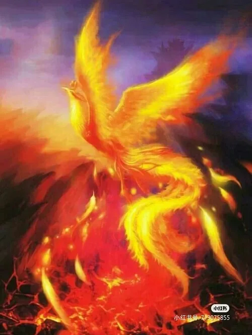 中国代表团浴火重生，再创佳绩