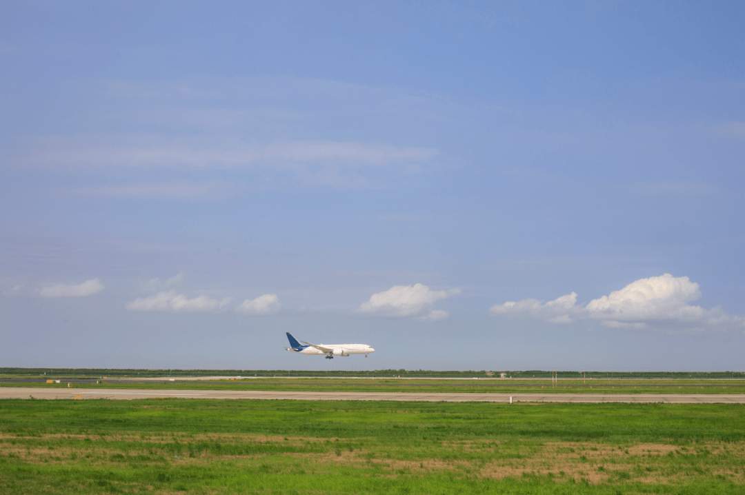 关于东亚豪强实力逐鹿足球竞技场的信息 关于东亚豪强实力逐鹿足球竞技场的信息