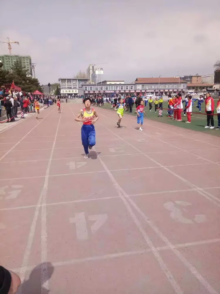 爱尔兰队员奋勇拼搏,取得国际比赛胜利的简单介绍 爱尔兰队员奋勇拼搏,取得国际比赛胜利的简单介绍