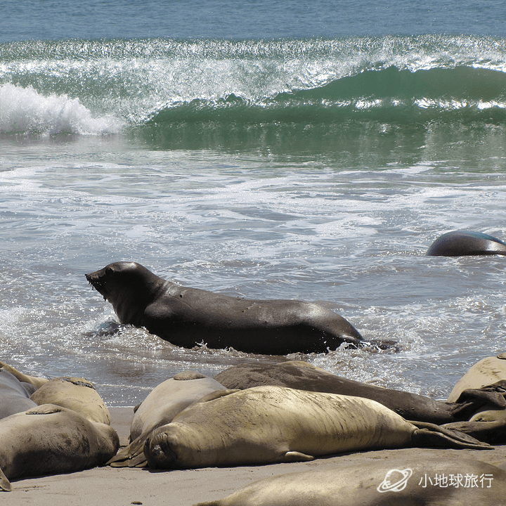 海峡群岛对意大利,海峡群岛队员斗志昂扬的简单介绍 海峡群岛对意大利,海峡群岛队员斗志昂扬的简单介绍