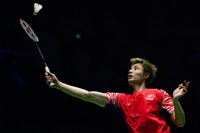 德国队横扫法国队,石宇奇关键制胜 德国队横扫法国队,石宇奇关键制胜