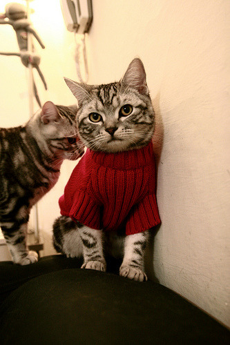 意甲改朝换代之夜,内马尔用最不意甲的方式,统治了最意甲的战场