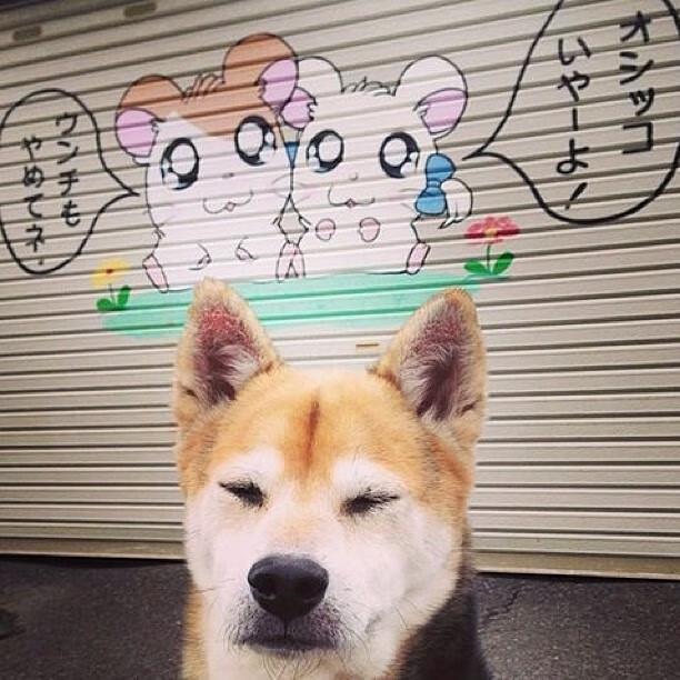 复仇者联盟,勇士火炮齐鸣轰沉快船,新王拉梅洛加冕关键先生