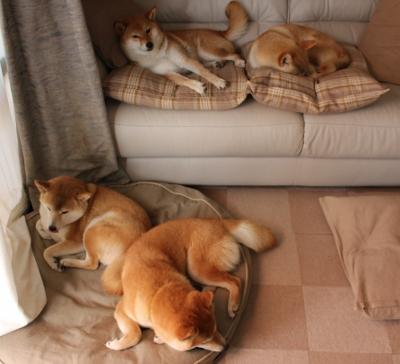 不眠长夜,星辰为证,黄喜灿于奥运悬崖边的冠军一击