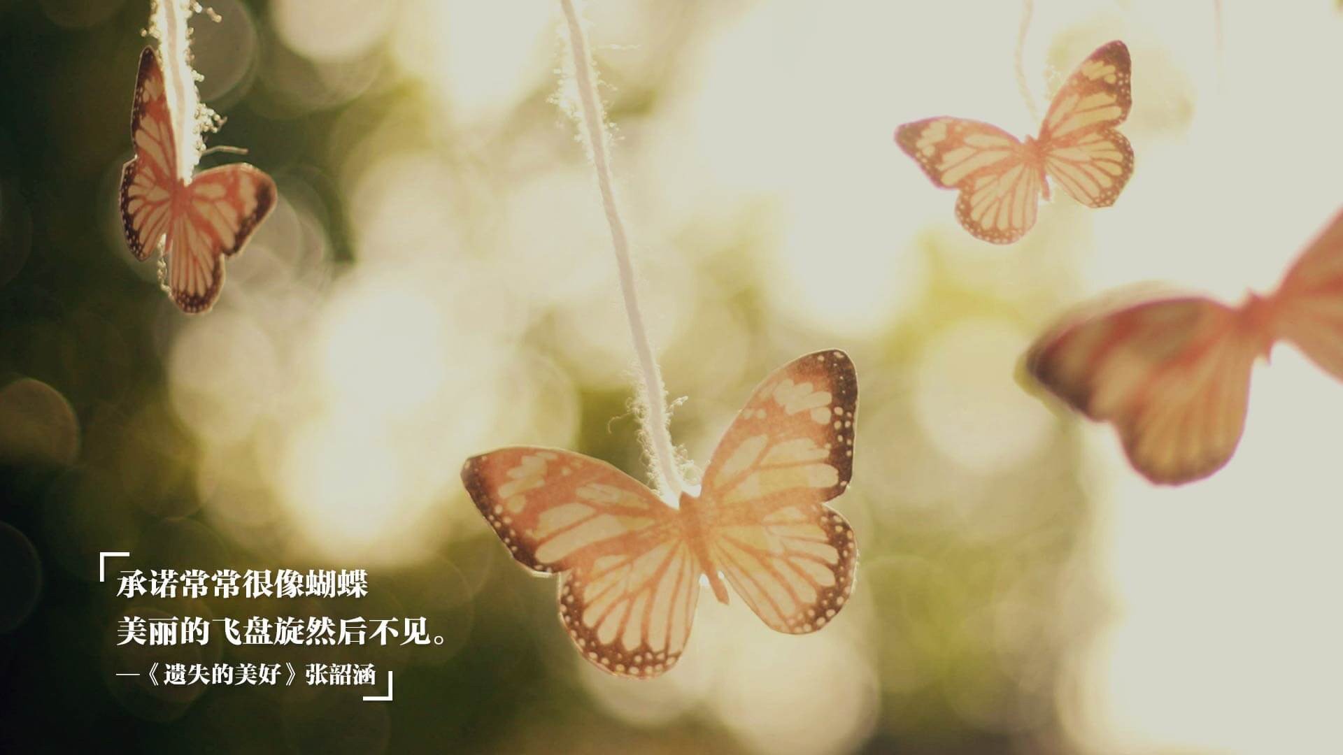 冰封麦迪逊,魔术用防守绞杀尼克斯,福克斯末节接管定乾坤