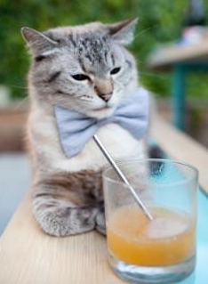 元宇宙哨响2026世界杯之夜,爱德华兹关键制胜