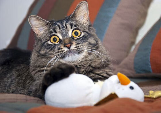 76人狂胜开拓者,小贾伦里程碑之夜,彰显新时代主场的势不可挡