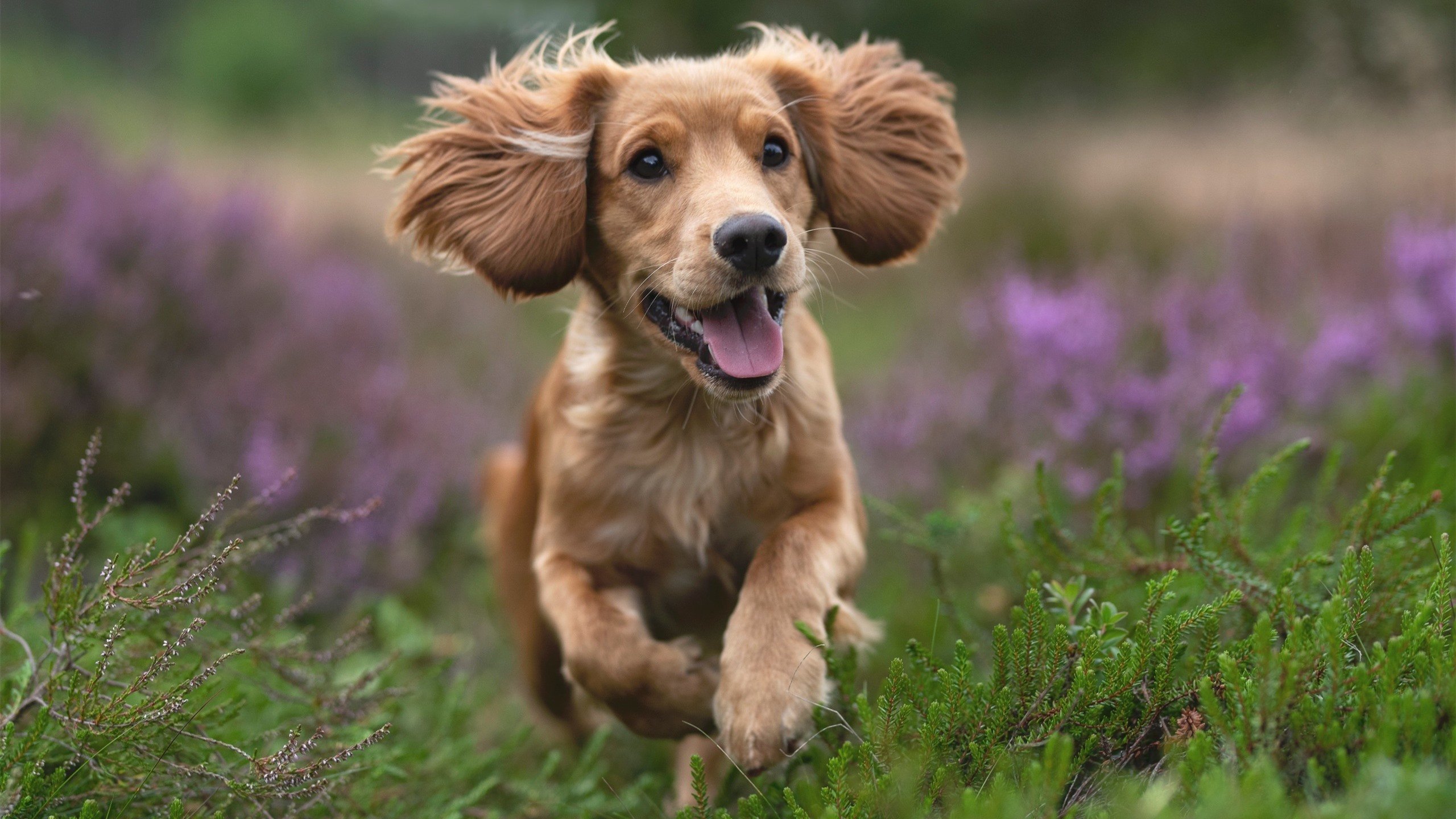 贝恩的独舞时刻,当年度焦点之战被一记记三分改写