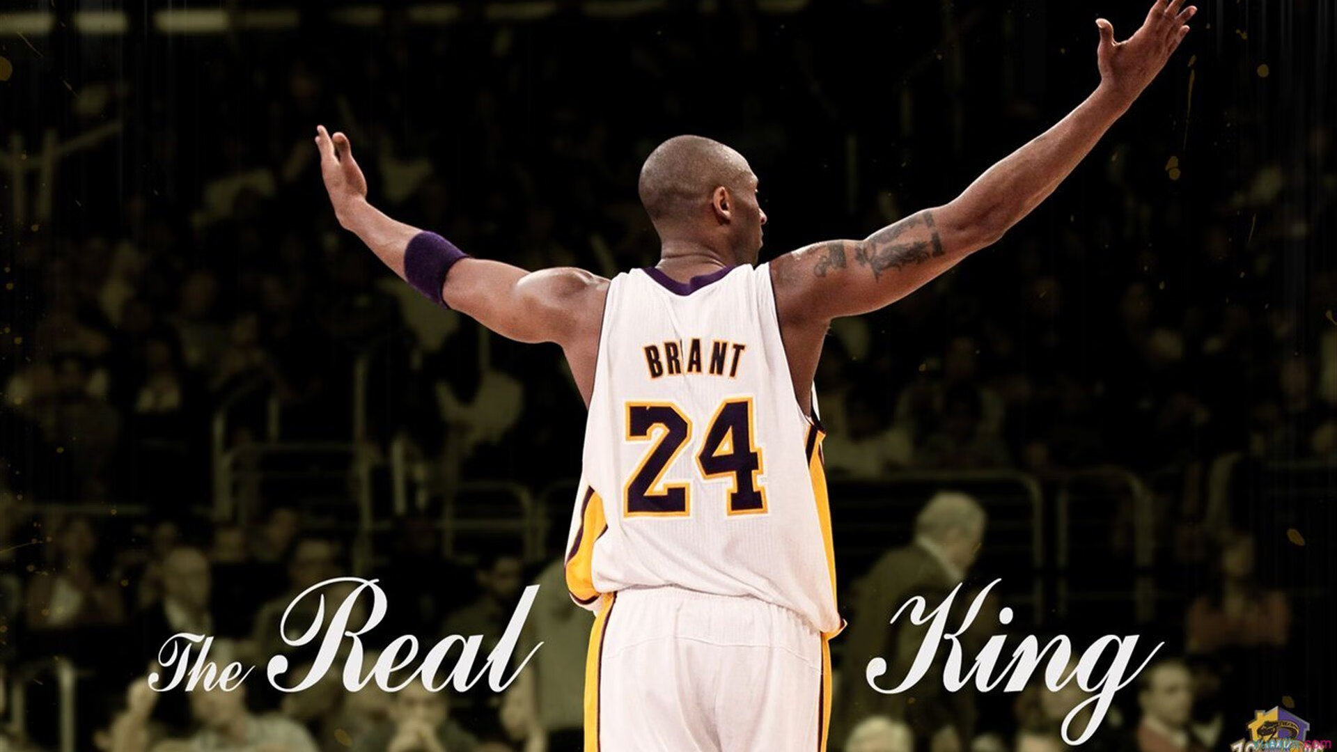 卢卡库过人表现无解，佛罗伦萨力克袋鼠军团迎生死战曙光