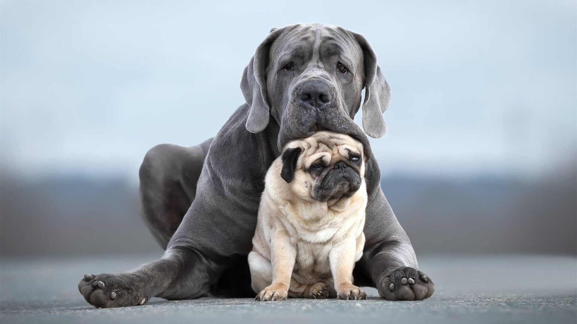 绝境重生！抢七之夜的孤胆英雄—孔德末节19分封神之战