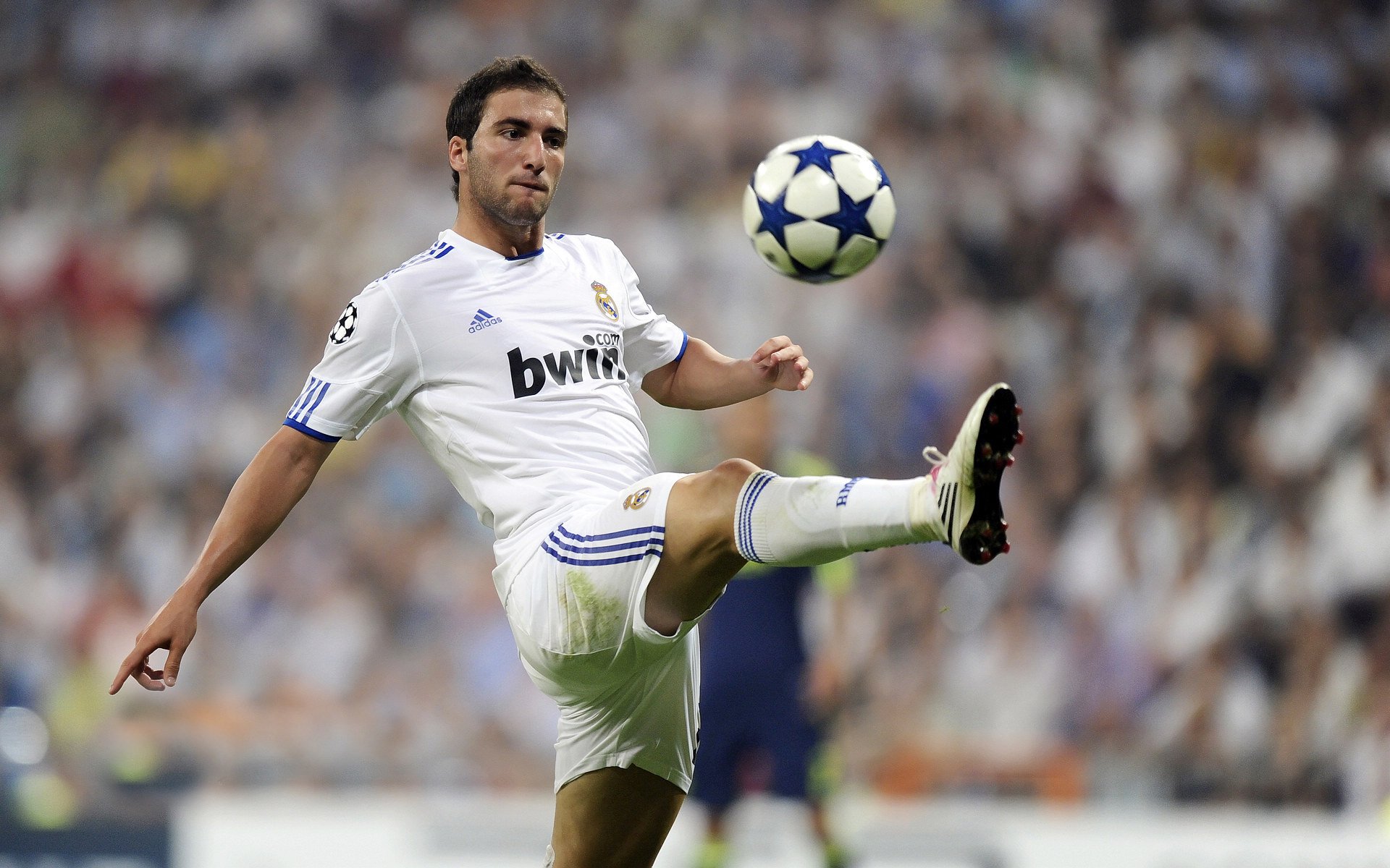 深圳队对阵雄鹿,小贾伦发挥堪称完美