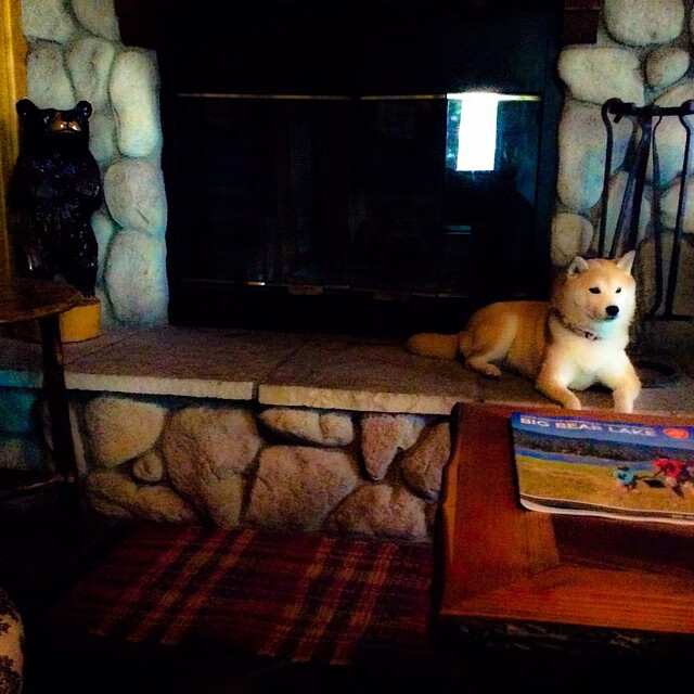 NBA总决赛之夜，迪亚斯那一笔画完的句号