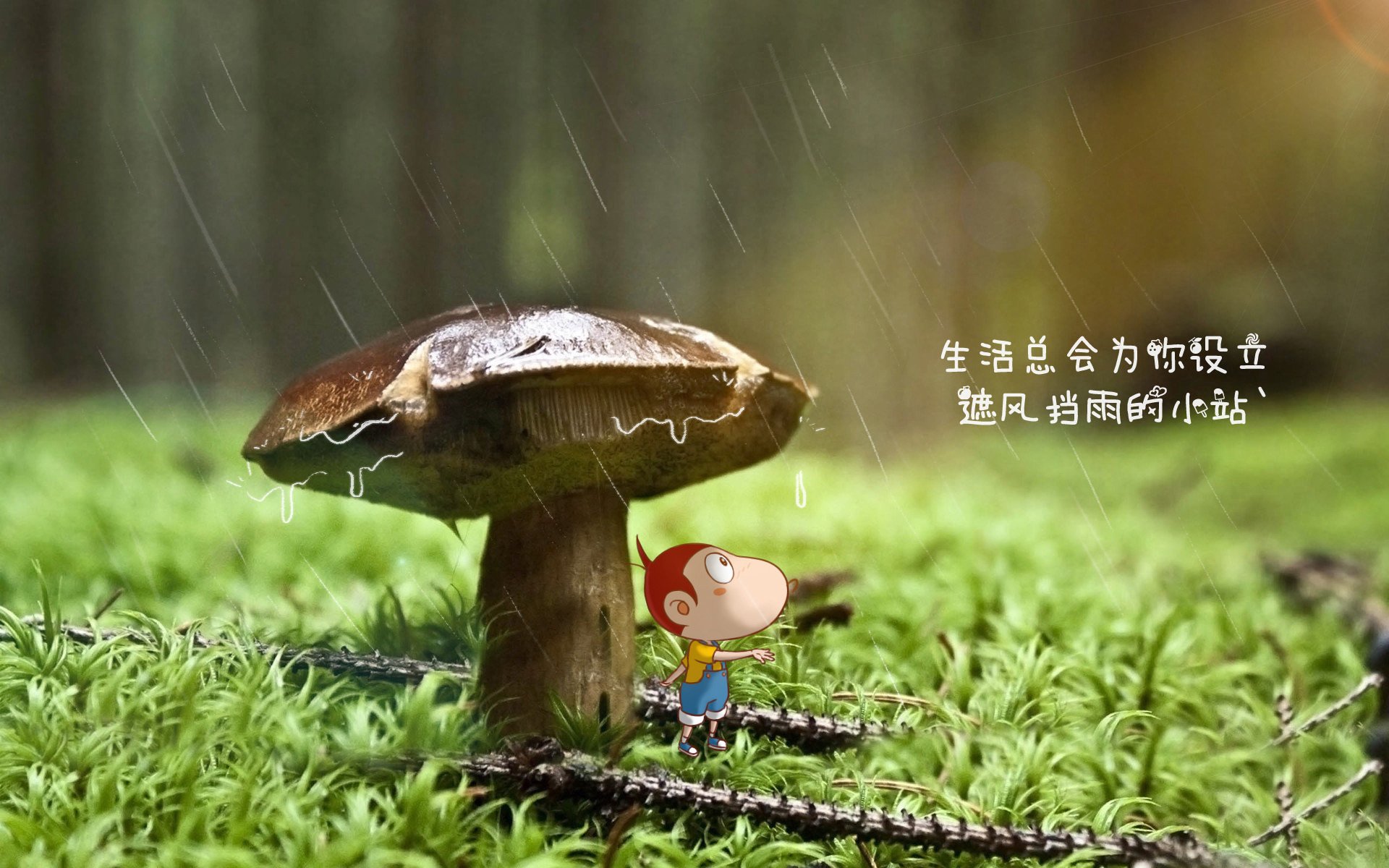 >亚平宁的秩序与太极虎的幻梦,2026,那记刺穿光阴的致命一击