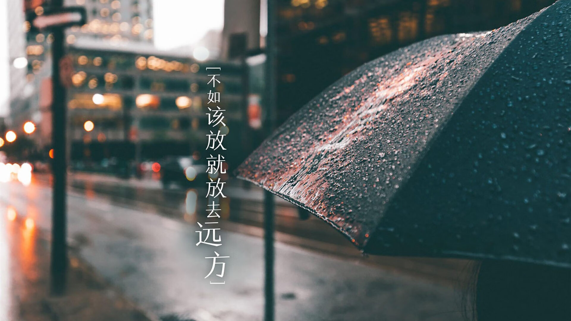 沙漠风暴,2026世界杯淘汰赛,卡塔尔用最锋利的反击,刺穿摩洛哥的钢铁防线